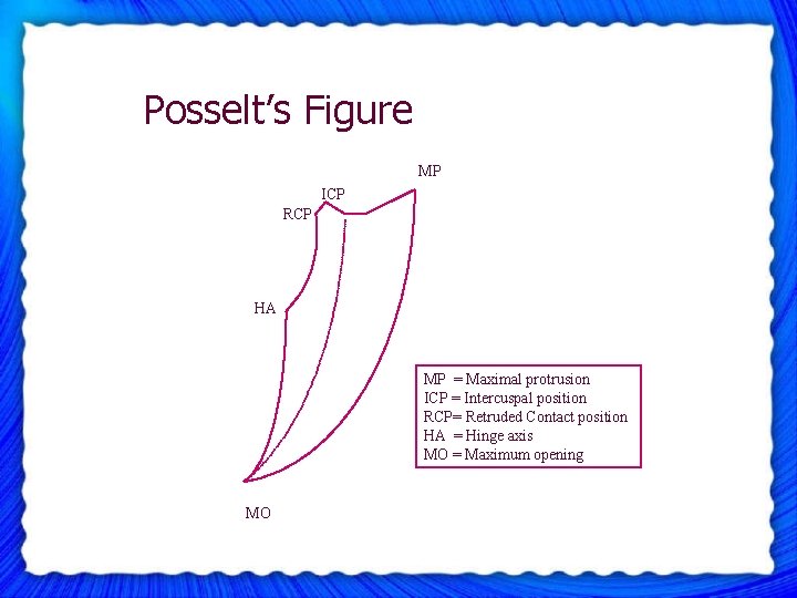 Posselt’s Figure MP ICP RCP HA MP = Maximal protrusion ICP = Intercuspal position