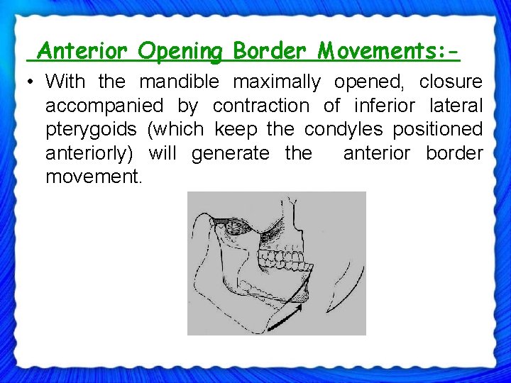 Anterior Opening Border Movements: • With the mandible maximally opened, closure accompanied by contraction