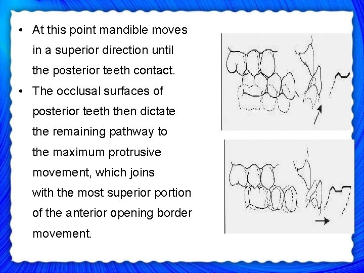  • At this point mandible moves in a superior direction until the posterior