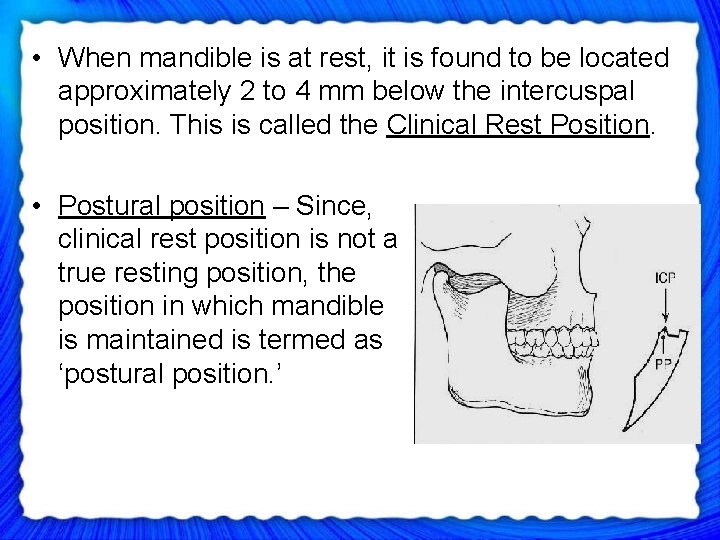  • When mandible is at rest, it is found to be located approximately