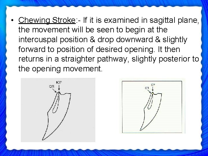  • Chewing Stroke: - If it is examined in sagittal plane, the movement