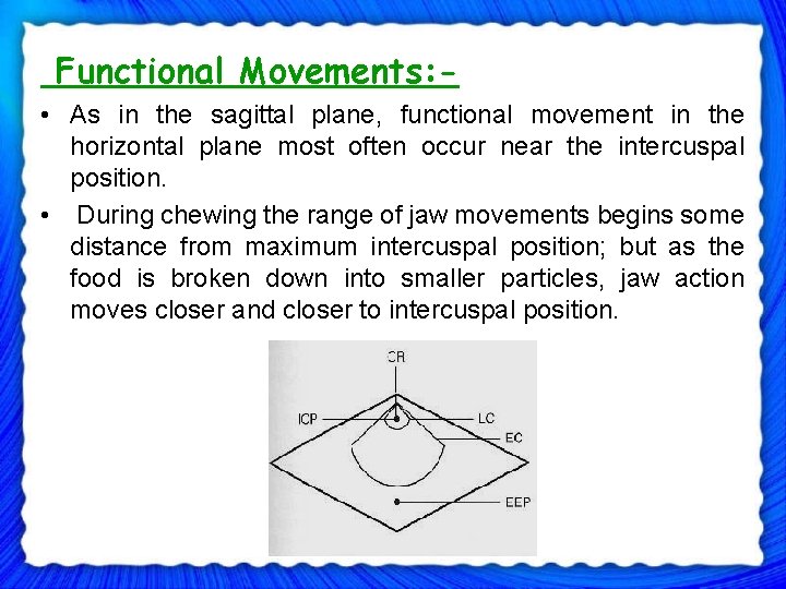 Functional Movements: • As in the sagittal plane, functional movement in the horizontal plane