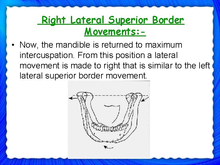 Right Lateral Superior Border Movements: • Now, the mandible is returned to maximum intercuspation.