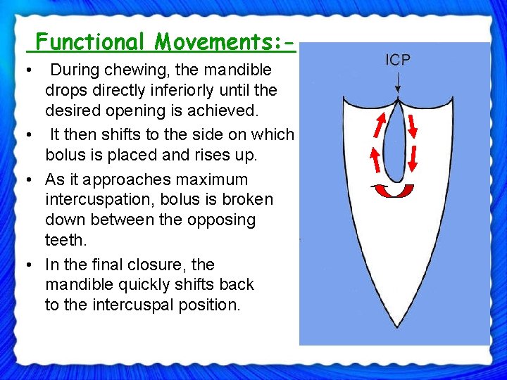 Functional Movements: - • During chewing, the mandible drops directly inferiorly until the desired