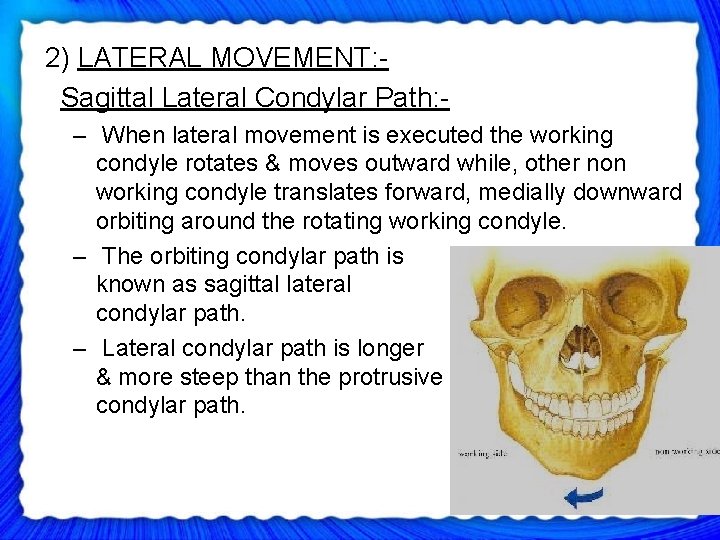  2) LATERAL MOVEMENT: Sagittal Lateral Condylar Path: - – When lateral movement is