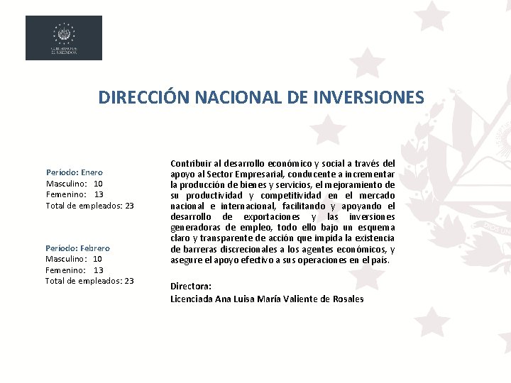 DIRECCIÓN NACIONAL DE INVERSIONES Período: Enero Masculino: 10 Femenino: 13 Total de empleados: 23