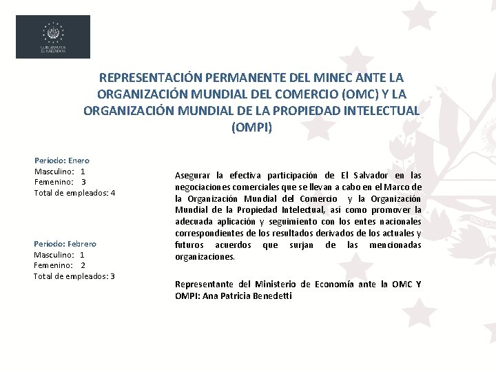 REPRESENTACIÓN PERMANENTE DEL MINEC ANTE LA ORGANIZACIÓN MUNDIAL DEL COMERCIO (OMC) Y LA ORGANIZACIÓN