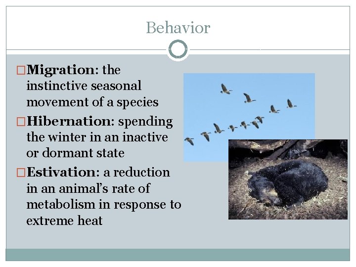 Behavior �Migration: the instinctive seasonal movement of a species �Hibernation: spending the winter in