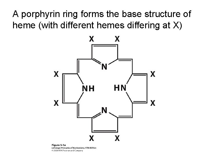 A porphyrin ring forms the base structure of heme (with different hemes differing at