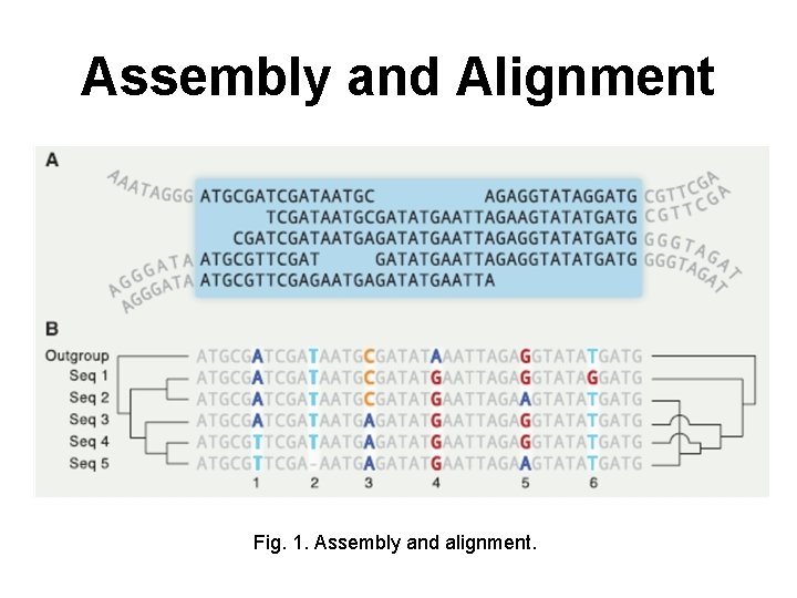 Assembly and Alignment Fig. 1. Assembly and alignment. 