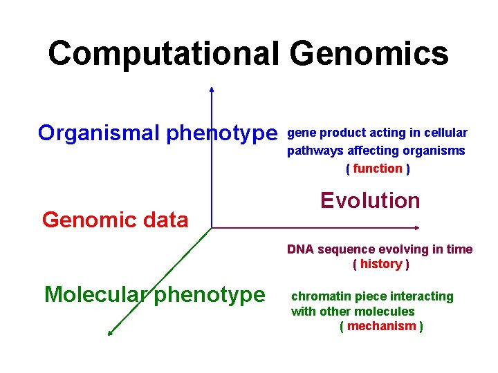 Computational Genomics Organismal phenotype Genomic data gene product acting in cellular pathways affecting organisms