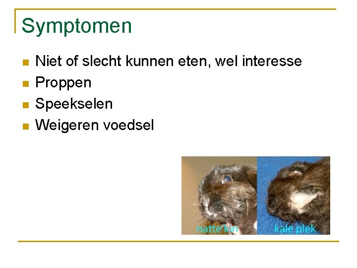 Symptomen n n Niet of slecht kunnen eten, wel interesse Proppen Speekselen Weigeren voedsel