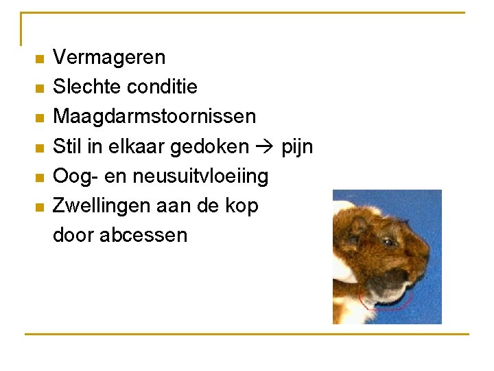 n n n Vermageren Slechte conditie Maagdarmstoornissen Stil in elkaar gedoken pijn Oog- en