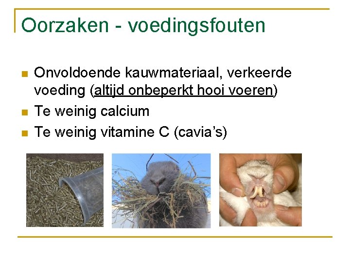 Oorzaken - voedingsfouten n Onvoldoende kauwmateriaal, verkeerde voeding (altijd onbeperkt hooi voeren) Te weinig