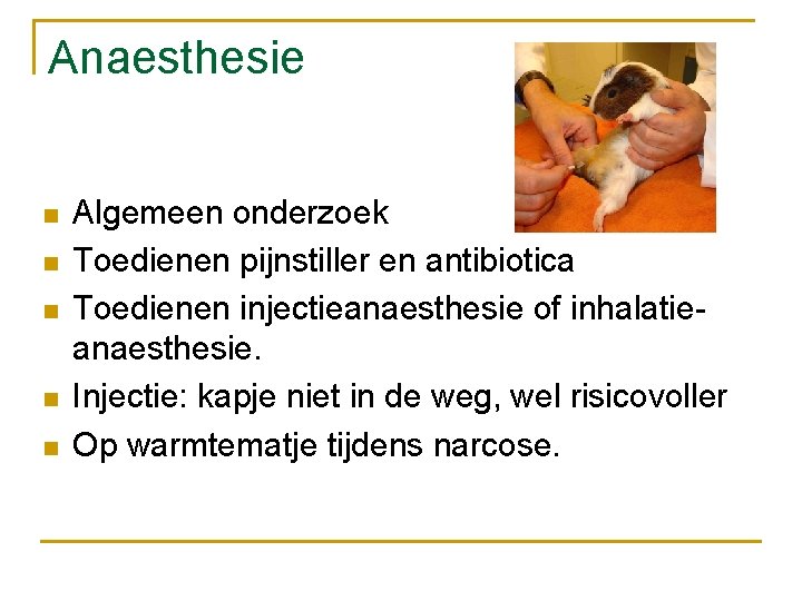 Anaesthesie n n n Algemeen onderzoek Toedienen pijnstiller en antibiotica Toedienen injectieanaesthesie of inhalatieanaesthesie.