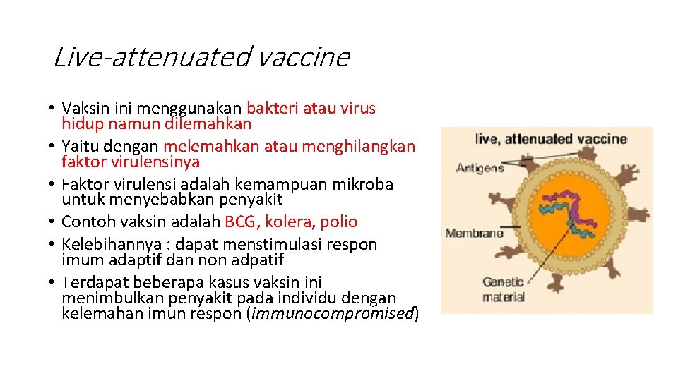 Live-attenuated vaccine • Vaksin ini menggunakan bakteri atau virus hidup namun dilemahkan • Yaitu