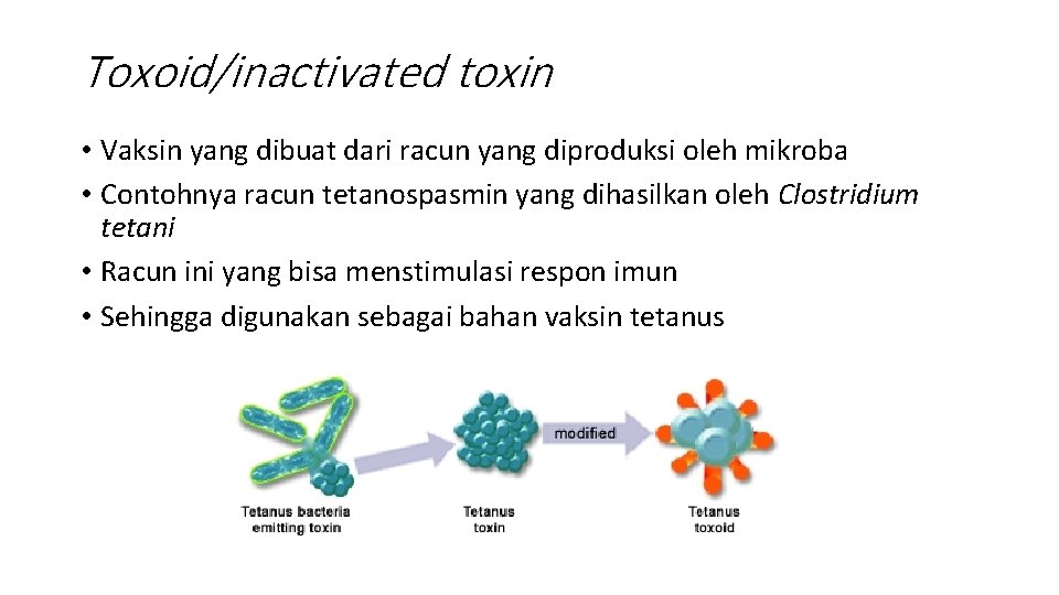 Toxoid/inactivated toxin • Vaksin yang dibuat dari racun yang diproduksi oleh mikroba • Contohnya