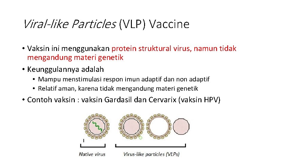 Viral-like Particles (VLP) Vaccine • Vaksin ini menggunakan protein struktural virus, namun tidak mengandung