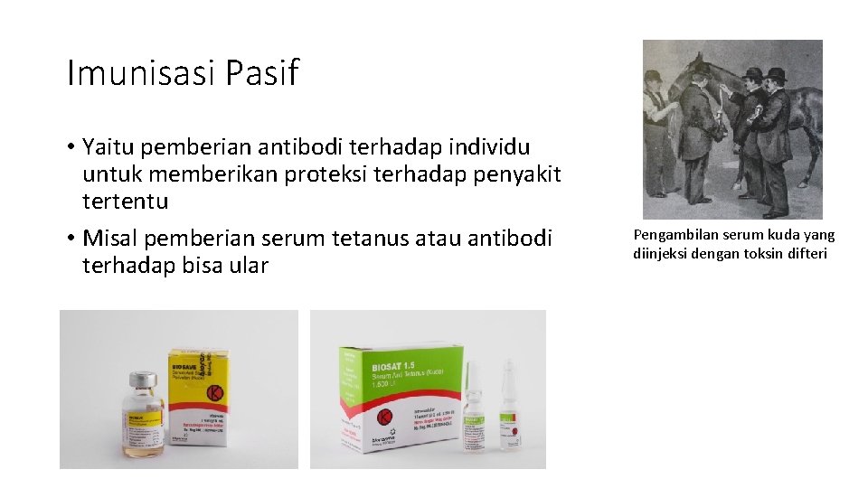 Imunisasi Pasif • Yaitu pemberian antibodi terhadap individu untuk memberikan proteksi terhadap penyakit tertentu