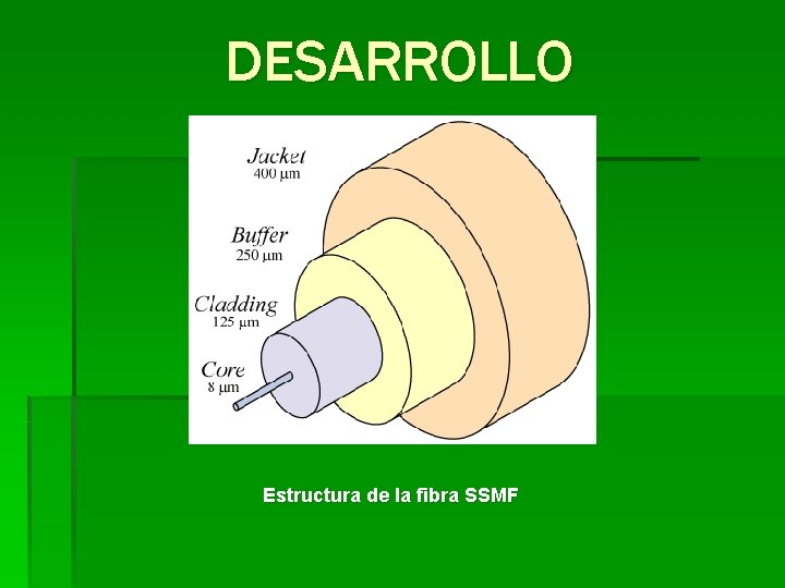 DESARROLLO Estructura de la fibra SSMF 