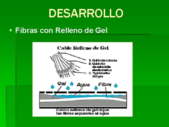 DESARROLLO § Fibras con Relleno de Gel 