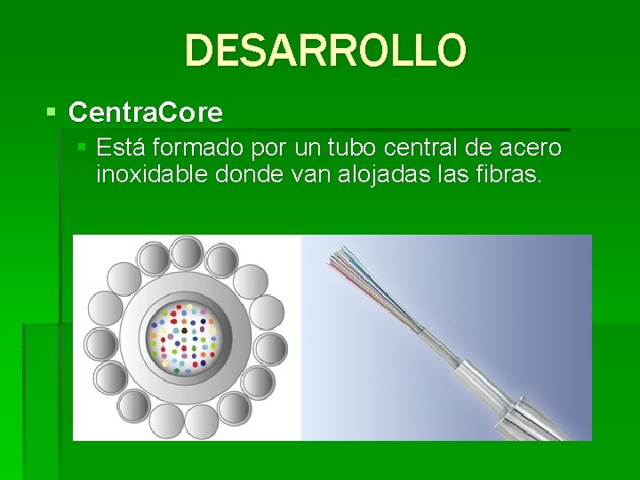 DESARROLLO § Centra. Core § Está formado por un tubo central de acero inoxidable