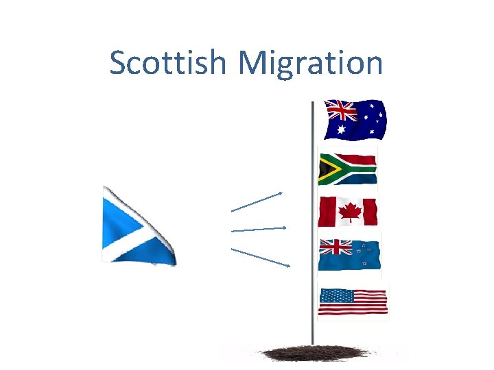 Scottish Migration 