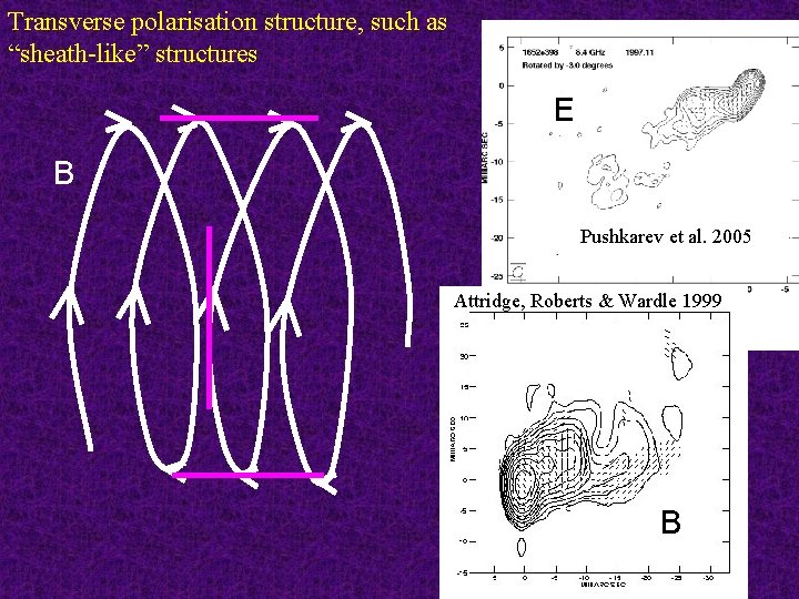 Transverse polarisation structure, such as “sheath-like” structures E B Pushkarev et al. 2005 Attridge,