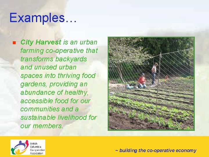 Examples… n City Harvest is an urban farming co-operative that transforms backyards and unused