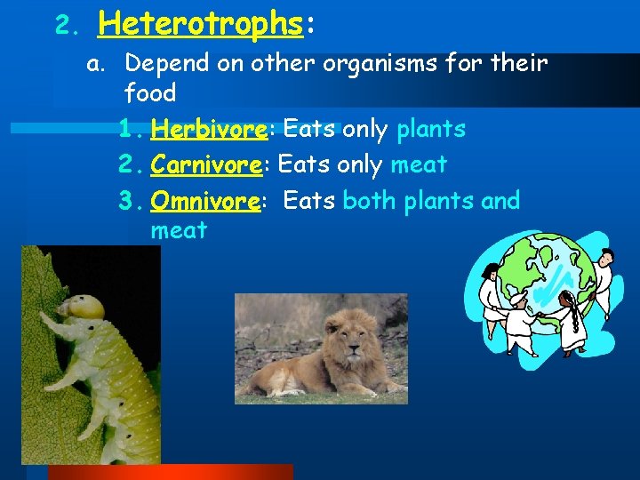 2. Heterotrophs: a. Depend on other organisms for their food 1. Herbivore: Eats only