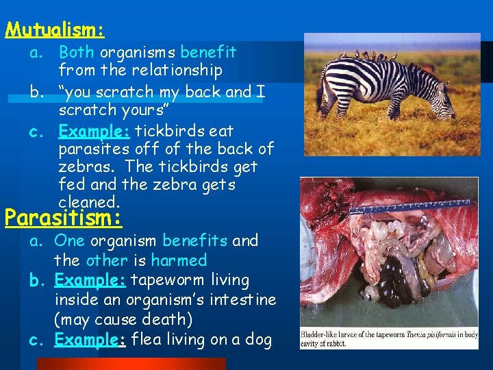 Mutualism: a. Both organisms benefit from the relationship b. “you scratch my back and