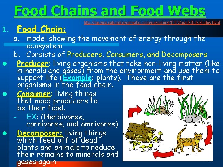 Food Chains and Food Webs 1. Food Chain: http: //magma. nationalgeographic. com/ngexplorer/0309/quickflicks/index. html a.