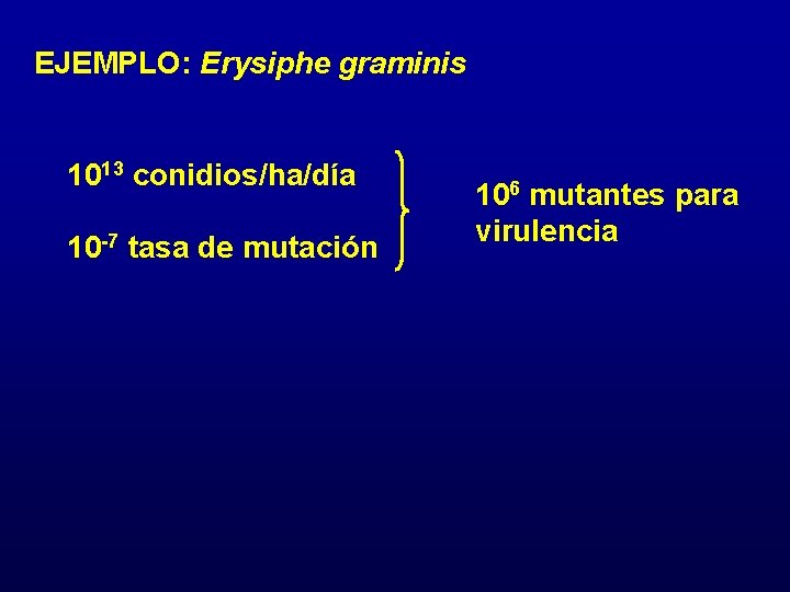 EJEMPLO: Erysiphe graminis 1013 conidios/ha/día 10 -7 tasa de mutación 106 mutantes para virulencia