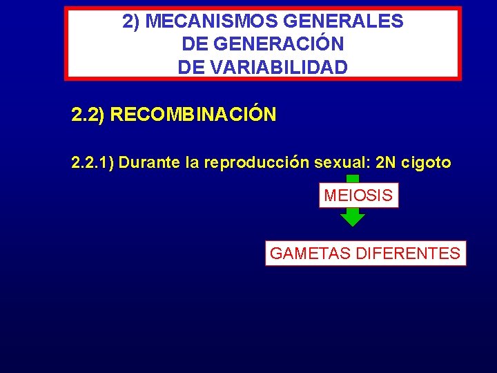 2) MECANISMOS GENERALES DE GENERACIÓN DE VARIABILIDAD 2. 2) RECOMBINACIÓN 2. 2. 1) Durante