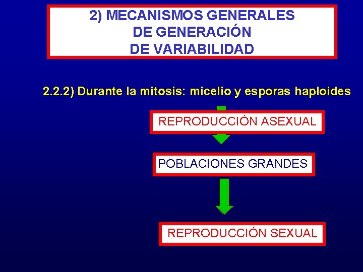 2) MECANISMOS GENERALES DE GENERACIÓN DE VARIABILIDAD 2. 2. 2) Durante la mitosis: micelio