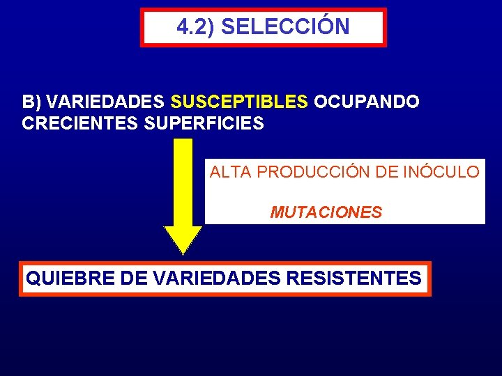 4. 2) SELECCIÓN B) VARIEDADES SUSCEPTIBLES OCUPANDO CRECIENTES SUPERFICIES ALTA PRODUCCIÓN DE INÓCULO MUTACIONES