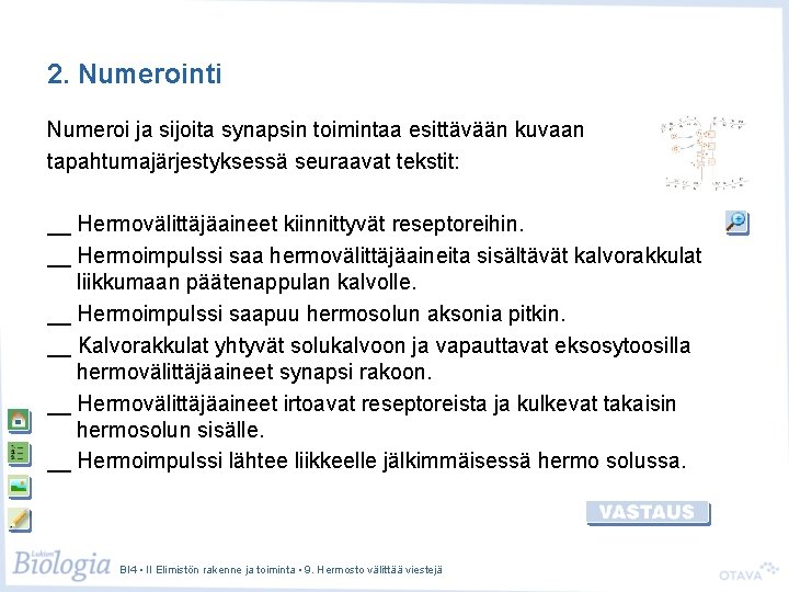 2. Numerointi Numeroi ja sijoita synapsin toimintaa esittävään kuvaan tapahtumajärjestyksessä seuraavat tekstit: __ Hermovälittäjäaineet