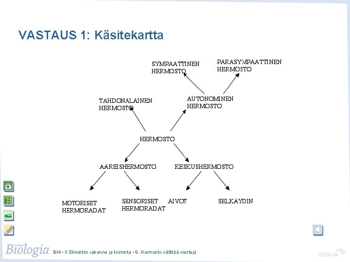 VASTAUS 1: Käsitekartta BI 4 • II Elimistön rakenne ja toiminta • 9. Hermosto