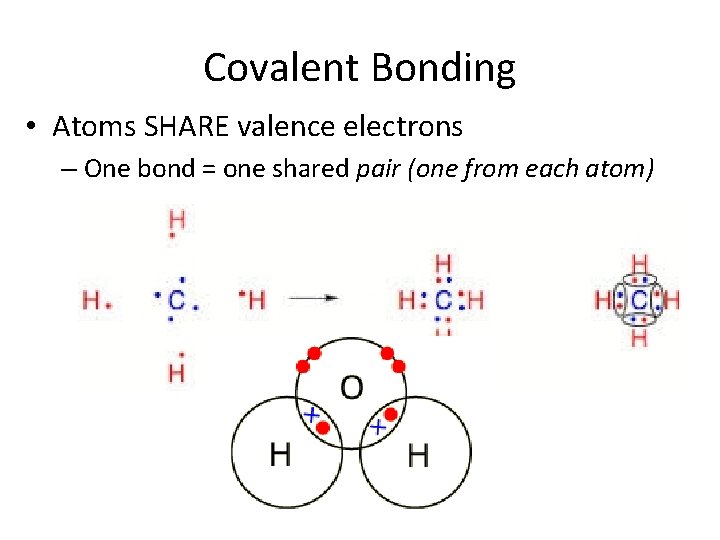 Covalent Bonding • Atoms SHARE valence electrons – One bond = one shared pair