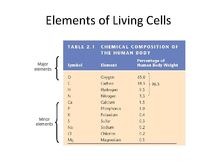 Elements of Living Cells Major elements Minor elements 