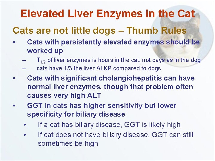 Elevated Liver Enzymes in the Cats are not little dogs – Thumb Rules •