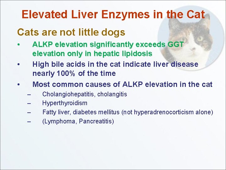 Elevated Liver Enzymes in the Cats are not little dogs • ALKP elevation significantly