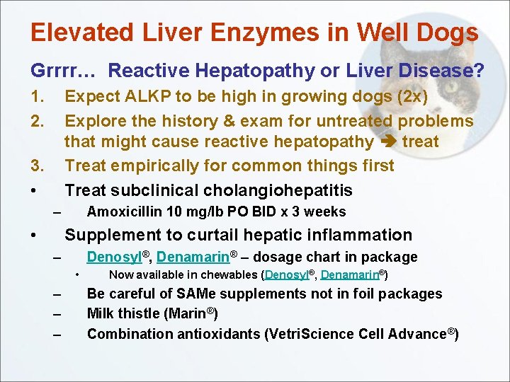 Elevated Liver Enzymes in Well Dogs Grrrr… Reactive Hepatopathy or Liver Disease? 1. 2.