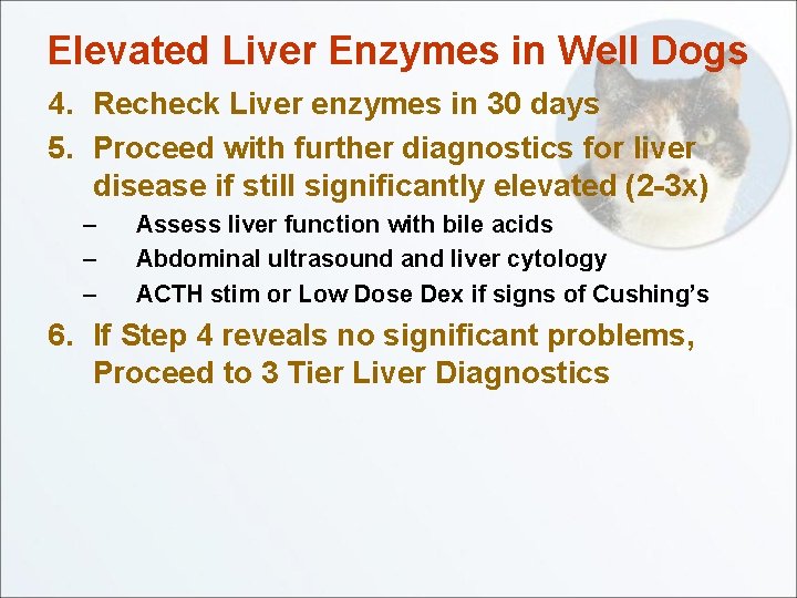 Elevated Liver Enzymes in Well Dogs 4. Recheck Liver enzymes in 30 days 5.