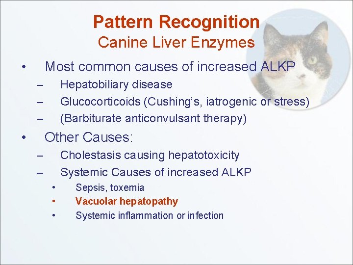 Pattern Recognition Canine Liver Enzymes • Most common causes of increased ALKP – –