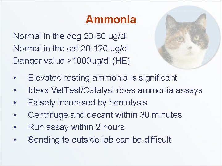 Ammonia Normal in the dog 20 -80 ug/dl Normal in the cat 20 -120