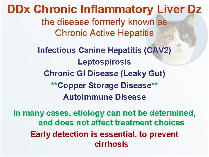 DDx Chronic Inflammatory Liver Dz the disease formerly known as Chronic Active Hepatitis Infectious