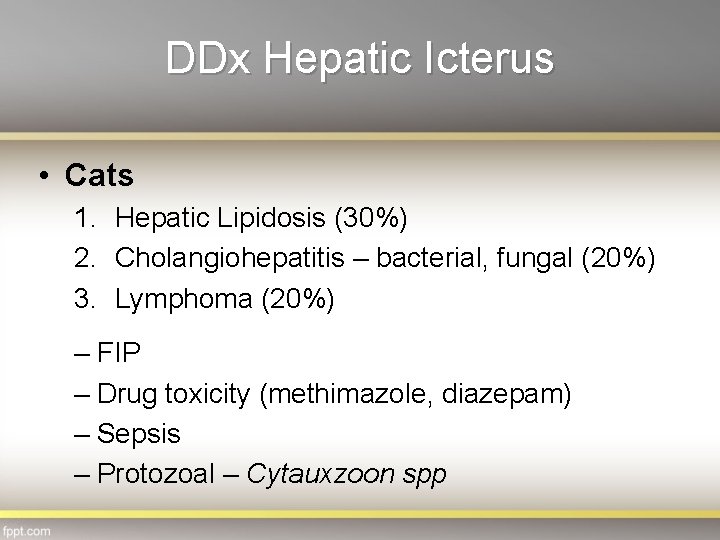 DDx Hepatic Icterus • Cats 1. Hepatic Lipidosis (30%) 2. Cholangiohepatitis – bacterial, fungal