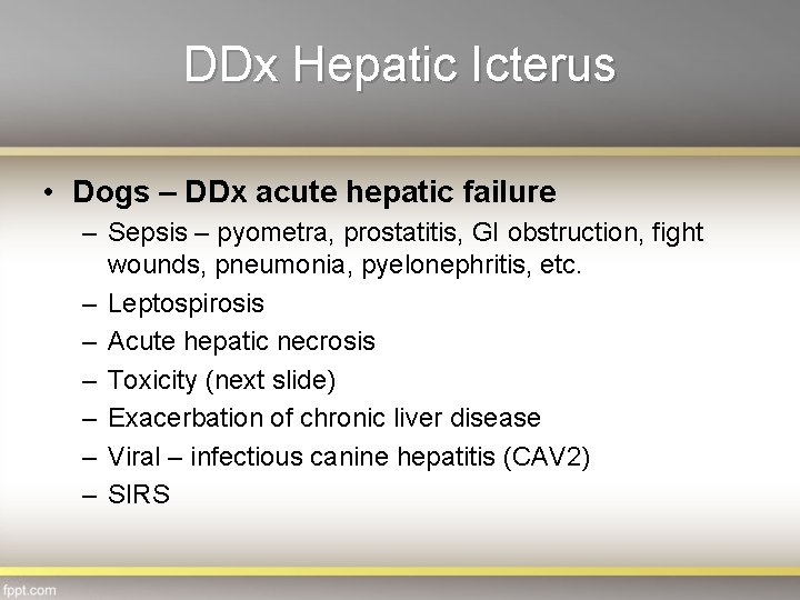 DDx Hepatic Icterus • Dogs – DDx acute hepatic failure – Sepsis – pyometra,