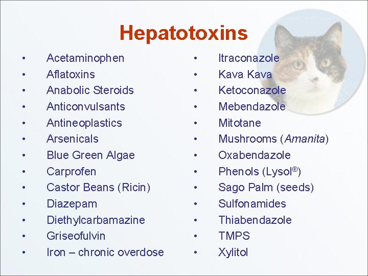 Hepatotoxins • • • • Acetaminophen Aflatoxins Anabolic Steroids Anticonvulsants Antineoplastics Arsenicals Blue Green